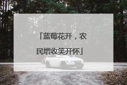 蓝莓花开，农民增收笑开怀