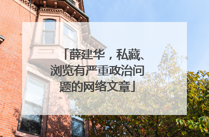 薛建华，私藏、浏览有严重政治问题的网络文章