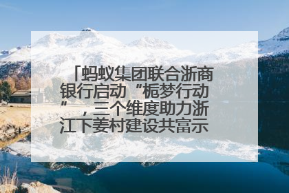蚂蚁集团联合浙商银行启动“栀梦行动”，三个维度助力浙江下姜村建设共富示范区示范点