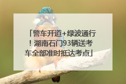 警车开道+绿波通行！湖南石门93辆送考车全部准时抵达考点