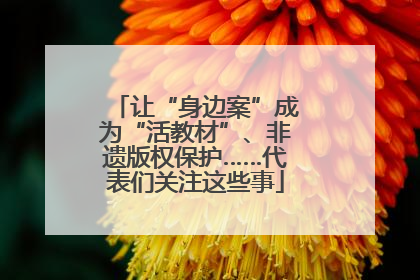 让“身边案”成为“活教材”、非遗版权保护……代表们关注这些事