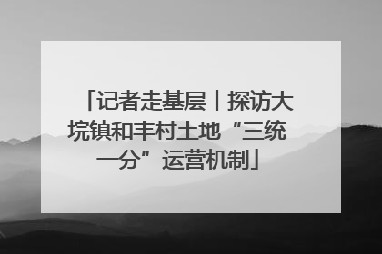 记者走基层丨探访大垸镇和丰村土地“三统一分”运营机制