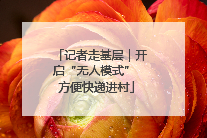 记者走基层｜开启“无人模式” 方便快递进村