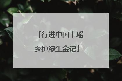 行进中国丨瑶乡护绿生金记