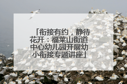 衔接有约，静待花开：福莱山街道中心幼儿园开展幼小衔接专题讲座