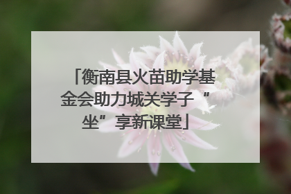 衡南县火苗助学基金会助力城关学子“坐”享新课堂
