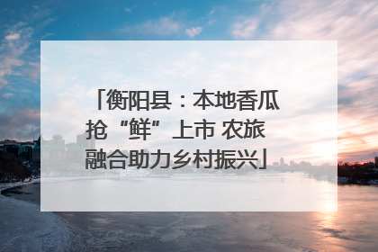 衡阳县：本地香瓜抢“鲜”上市 农旅融合助力乡村振兴