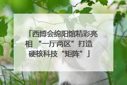 西博会绵阳馆精彩亮相 “一厅两区”打造硬核科技“矩阵”
