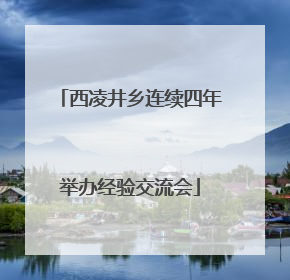 西凌井乡连续四年举办经验交流会