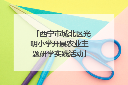 西宁市城北区光明小学开展农业主题研学实践活动
