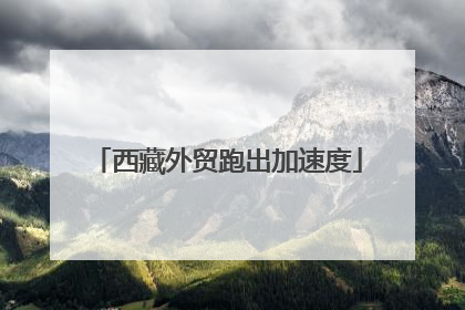西藏外贸跑出加速度