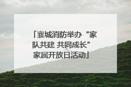 襄城消防举办“家队共建 共同成长”家属开放日活动
