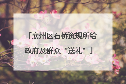 襄州区石桥资规所给政府及群众“送礼”