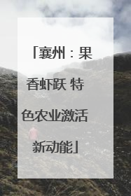 襄州：果香虾跃 特色农业激活新动能