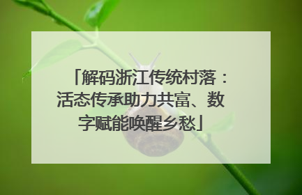 解码浙江传统村落：活态传承助力共富、数字赋能唤醒乡愁