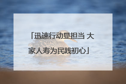 迅速行动显担当 大家人寿为民践初心