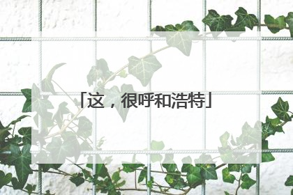 这，很呼和浩特