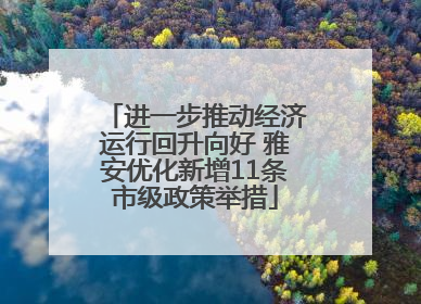 进一步推动经济运行回升向好 雅安优化新增11条市级政策举措