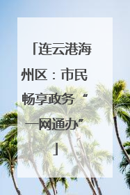 连云港海州区：市民畅享政务“一网通办”