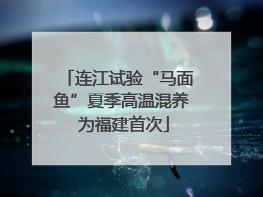 连江试验“马面鱼”夏季高温混养 为福建首次