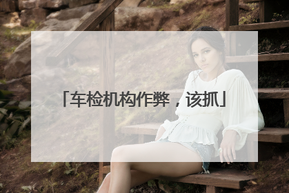 车检机构作弊，该抓