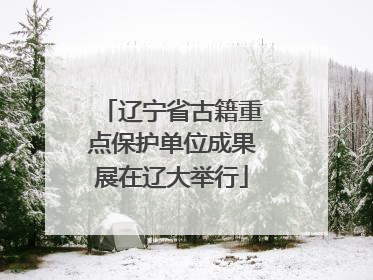 辽宁省古籍重点保护单位成果展在辽大举行