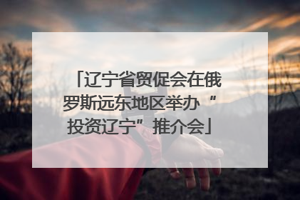 辽宁省贸促会在俄罗斯远东地区举办“投资辽宁”推介会
