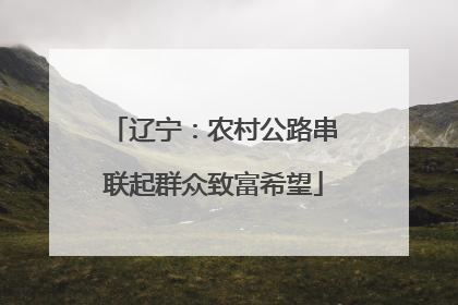 辽宁：农村公路串联起群众致富希望