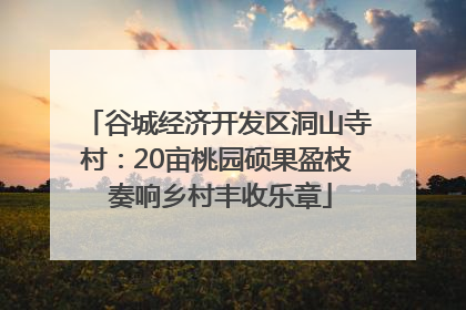 谷城经济开发区洞山寺村：20亩桃园硕果盈枝 奏响乡村丰收乐章