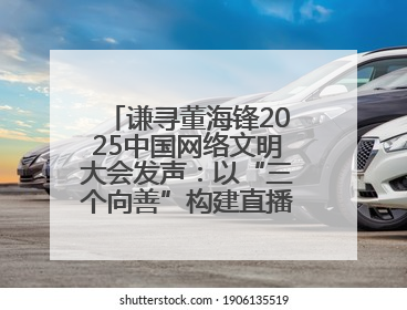 谦寻董海锋2025中国网络文明大会发声：以“三个向善”构建直播电商善意长河