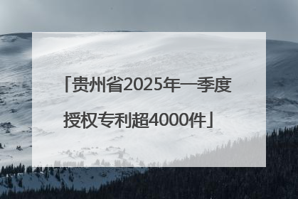 贵州省2025年一季度授权专利超4000件