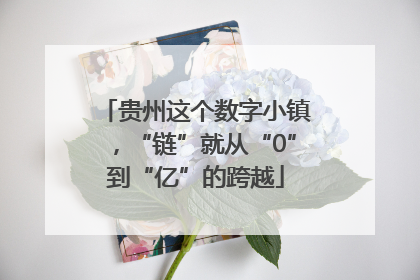 贵州这个数字小镇，“链”就从“0”到“亿”的跨越