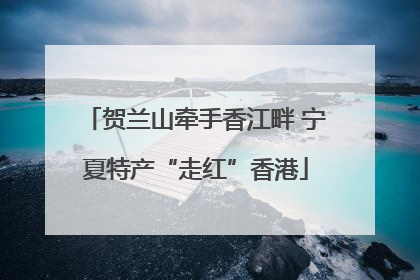 贺兰山牵手香江畔 宁夏特产“走红”香港