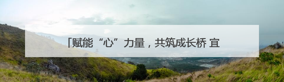 赋能“心”力量，共筑成长桥 宜宾长宁梅白学校召开心育委员会议