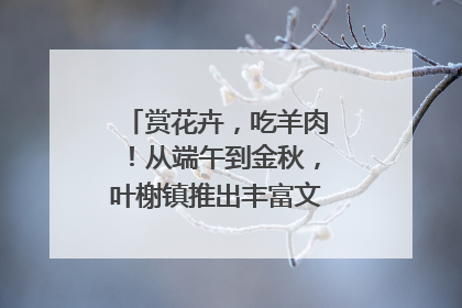 赏花卉，吃羊肉！从端午到金秋，叶榭镇推出丰富文旅活动邀您爽玩