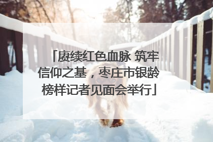 赓续红色血脉 筑牢信仰之基，枣庄市银龄榜样记者见面会举行