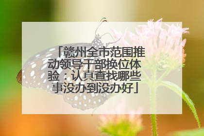 赣州全市范围推动领导干部换位体验：认真查找哪些事没办到没办好