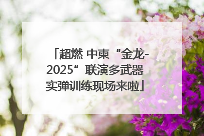 超燃 中柬“金龙-2025”联演多武器实弹训练现场来啦