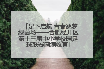 足下启航 青春逐梦绿茵场——合肥经开区第十三届中小学校园足球联赛圆满收官