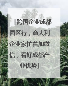 跨国企业成都园区行，意大利企业家忙着加微信，看好成都产业优势