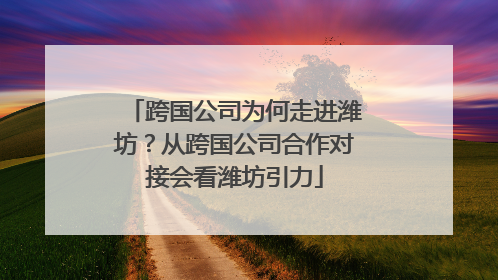 跨国公司为何走进潍坊？从跨国公司合作对接会看潍坊引力