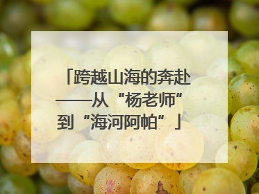 跨越山海的奔赴——从“杨老师”到“海河阿帕”