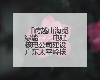 跨越山海觅绿能——电建核电公司建设广东太平岭核电项目侧记