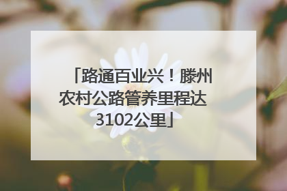 路通百业兴！滕州农村公路管养里程达3102公里