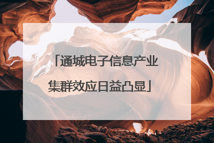 通城电子信息产业集群效应日益凸显