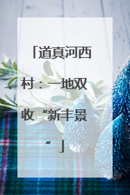 道真河西村：一地双收“新丰景”