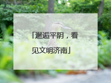 邂逅平阴，看见文明济南