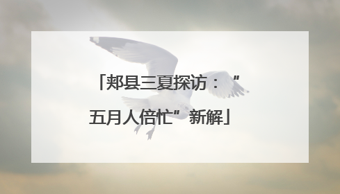 郏县三夏探访：“五月人倍忙”新解