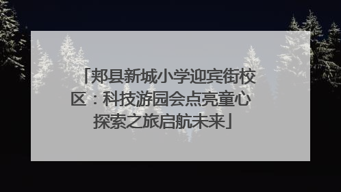 郏县新城小学迎宾街校区：科技游园会点亮童心 探索之旅启航未来