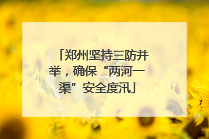 郑州坚持三防并举，确保“两河一渠”安全度汛